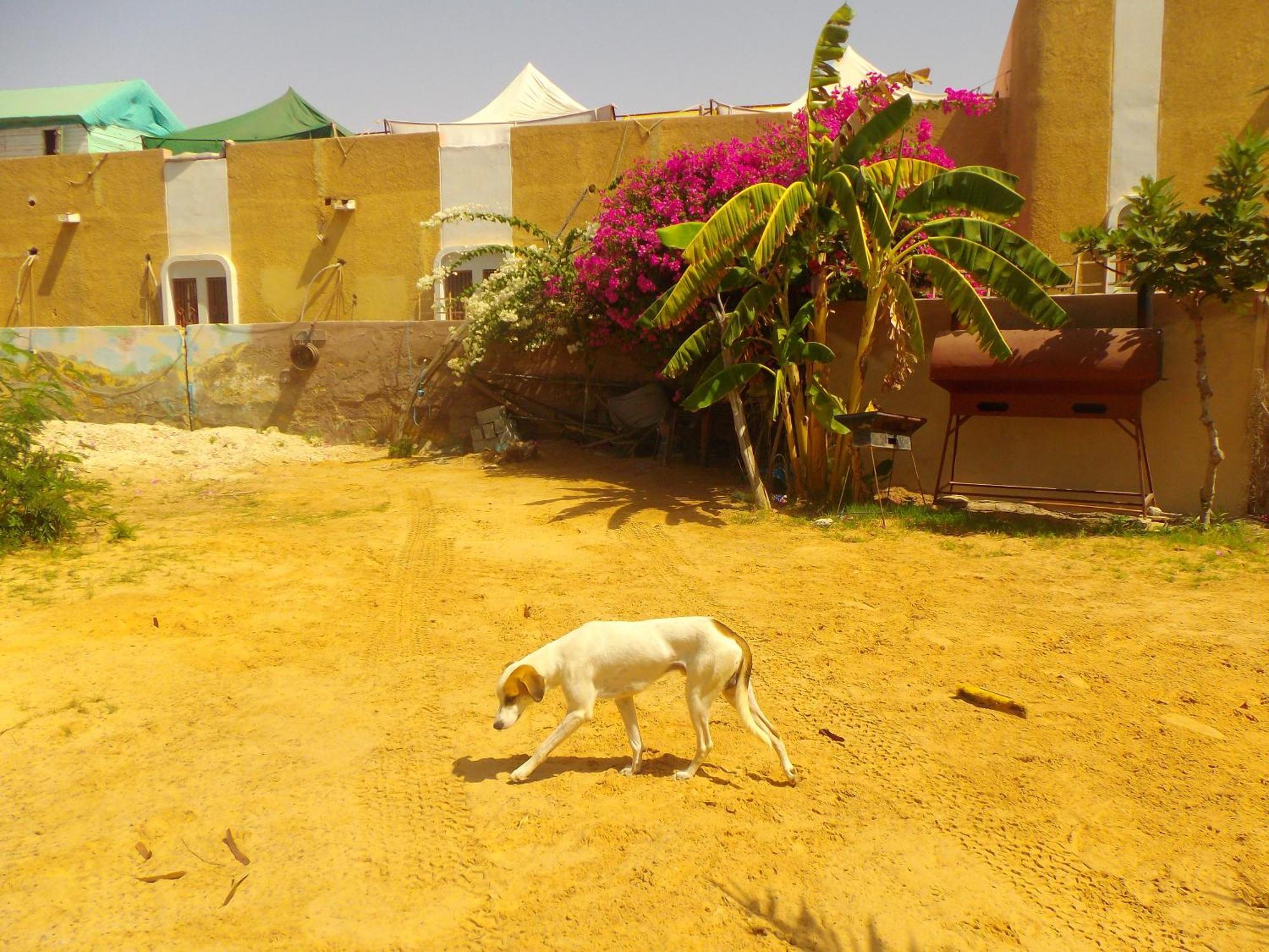 Auberge Triskell Nouakchott Esterno foto